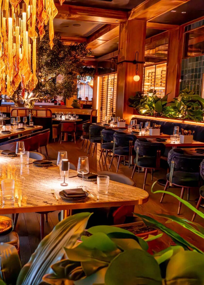 DSC_6947-Enhanced-NR